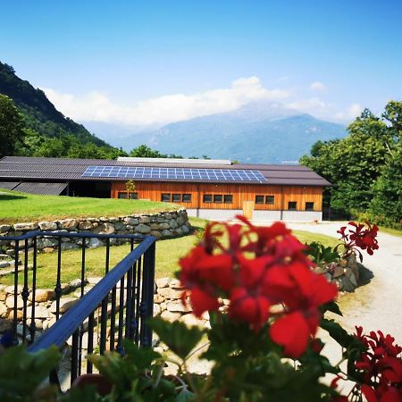 Agriturismo La Ca' D'Amelio Lessolo Eksteriør billede