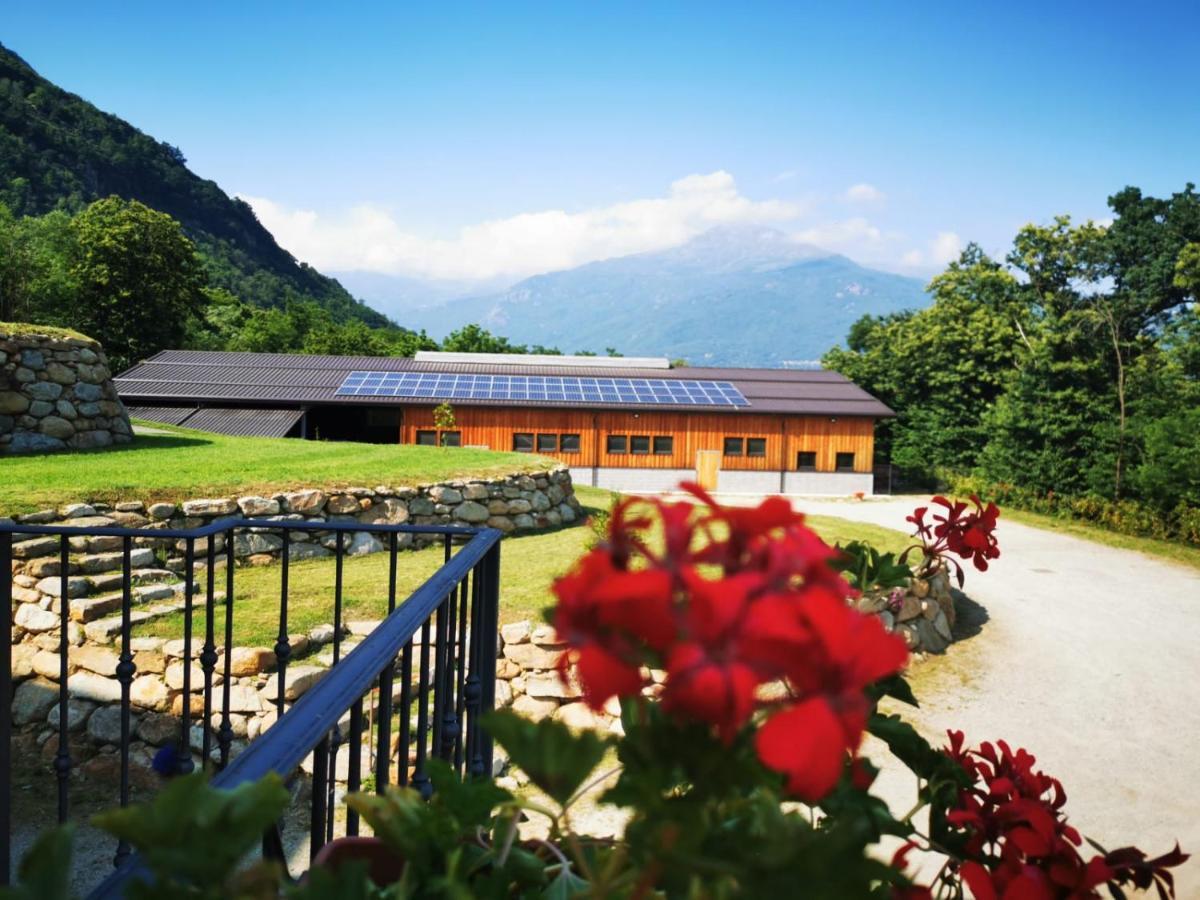 Agriturismo La Ca' D'Amelio Lessolo Eksteriør billede