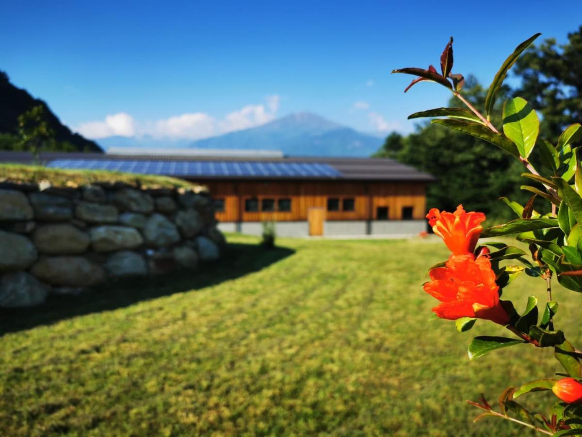 Agriturismo La Ca' D'Amelio Lessolo Eksteriør billede